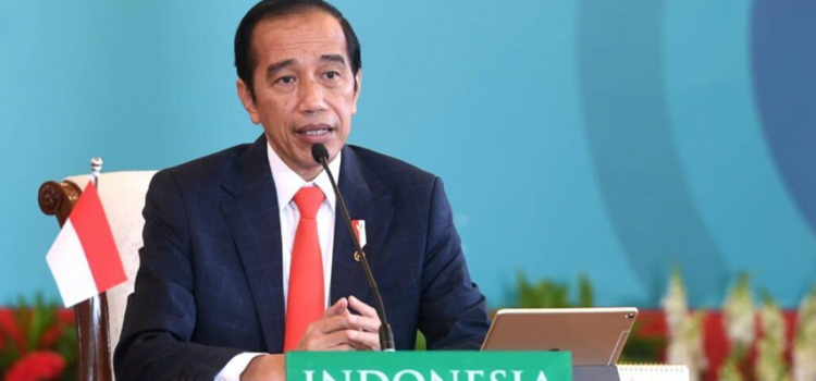 Presiden Jokowi Dorong Tiga Hal pada KTT ke-10 D-8