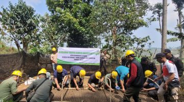 Perhutani Bandung Utara Laksanakan Tabur Benih Pinus di Burangrang Selatan